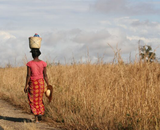 population à Madagascar