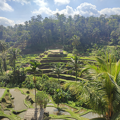 paysage à Bali