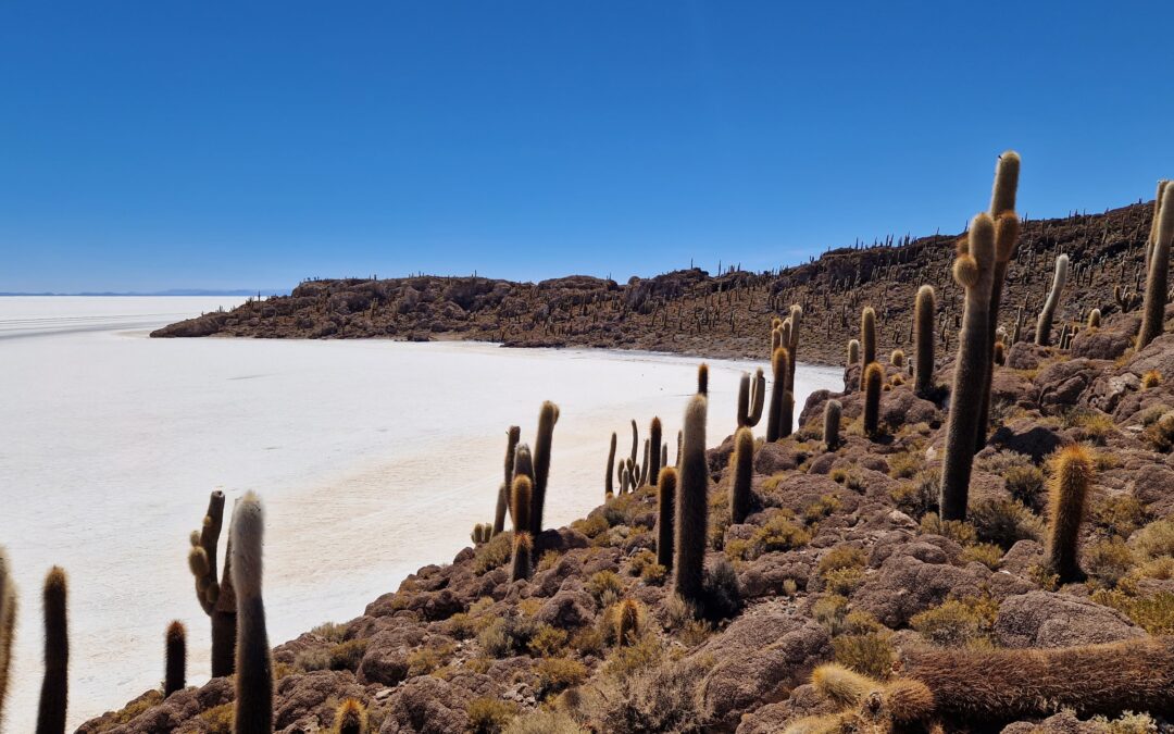 Bolivie