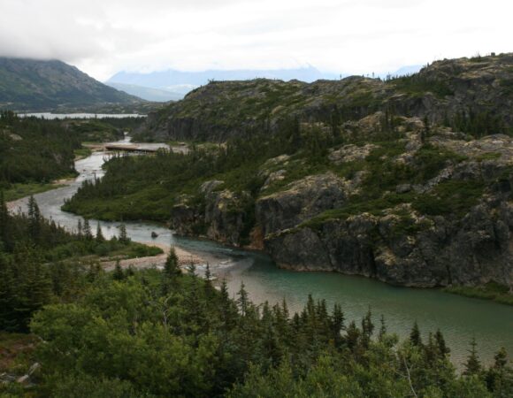 paysage canadien avec lacs et forêts