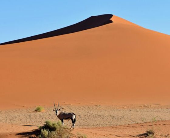 désert en Namibie
