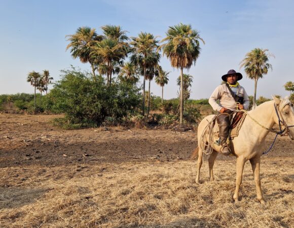paysage au Paraguay avec un homme à cheval
