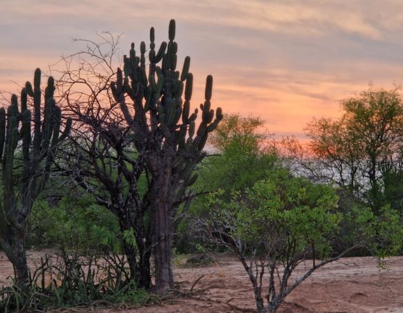 paysage au Paraguay avec coucher de soleil