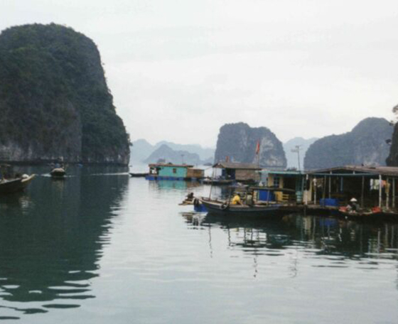 paysage au Viet Nam
